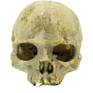 Aquarium Resin Skull Reptile Tank Accessories Ornament Basking Snake Hide Decor Habitat