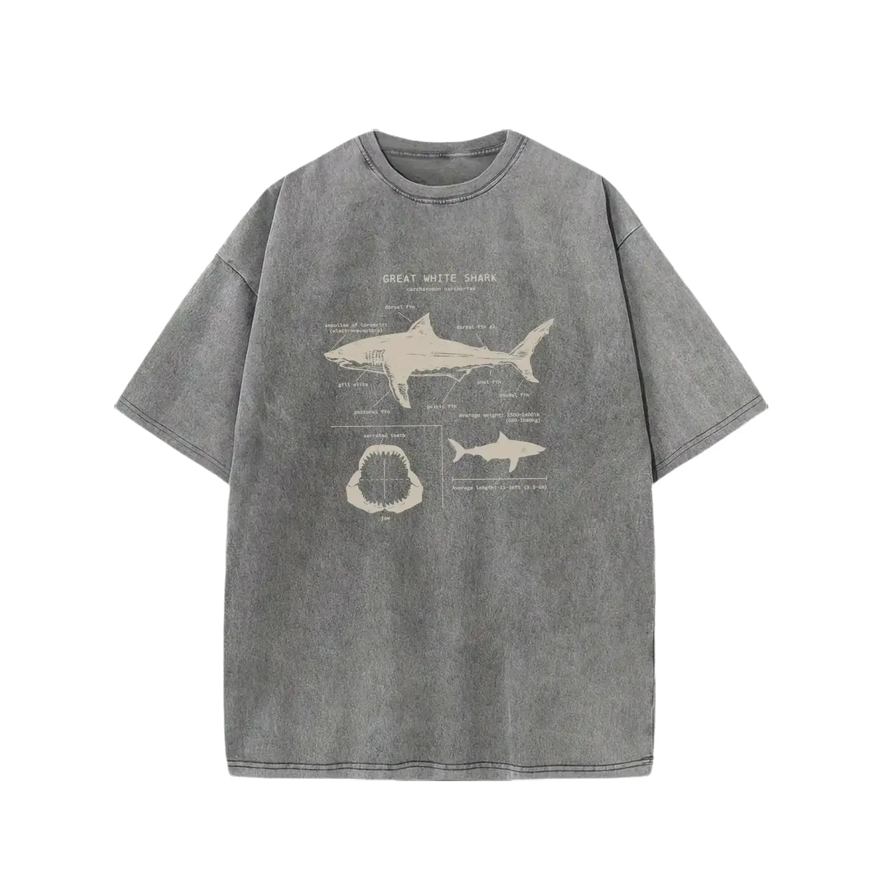 Men's Vintage Acid Washed Great White Shark Graphic Short-Sleeve Round Neck T-Shirt - Summer Streetwear, Casual Everyday Wear Top