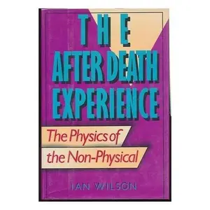 USED-The After Death Experience: The Physics of the Non-Physical by Ian Wilson (Hardcover)