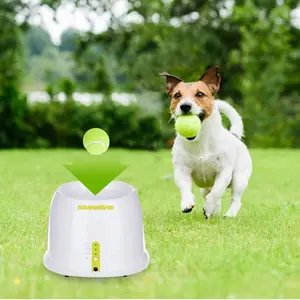 AutoFetch Ball Launcher