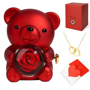 [Mother's Day Gift] Cute Rose Bear with Heart Design Necklace & Writeable Greeting Card, Eternal Forever Rose Teddy Gift for Her, Perfect for Anniversaries & Holidays