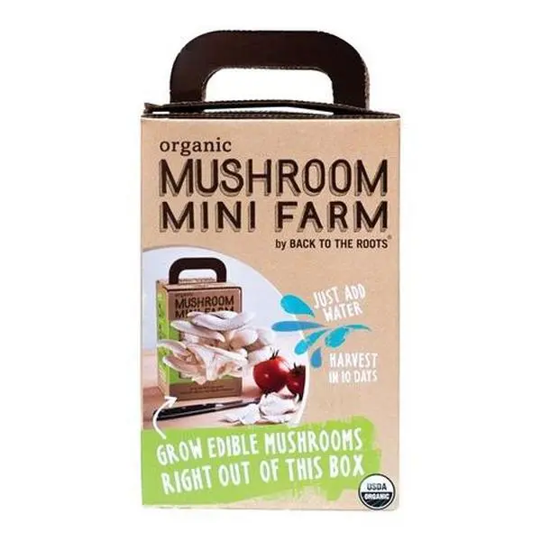 Back To The Roots 21200 Mini Farm Kit, 0.52oz Organic Cilantro Growing Kit, Indoor Use Garden In A Can for Growing Mushrooms