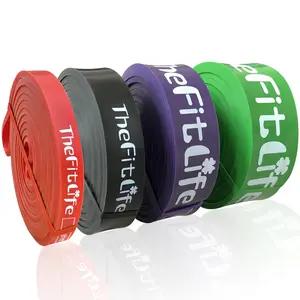 TheFitLife Pull up Assistance Bands - Long resistance bands for work out, pullup assist