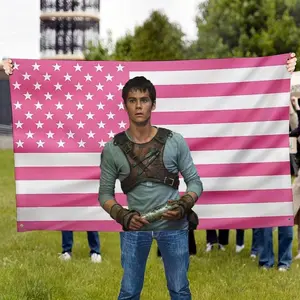 Gift Colorful Bedroom 40*30 Inch TapestryGift Colorful Bedroom TapestryDylan Pink America Funny Obrien Flag Poster Tapestry for College Dorm Decor, Outdoor Party, Patio Yard, Room Decor Flag Merch Decoration Wall