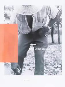 Working The Roots: Over 400 Years of Traditional African American Healing -- Michele Elizabeth Lee - Paperback