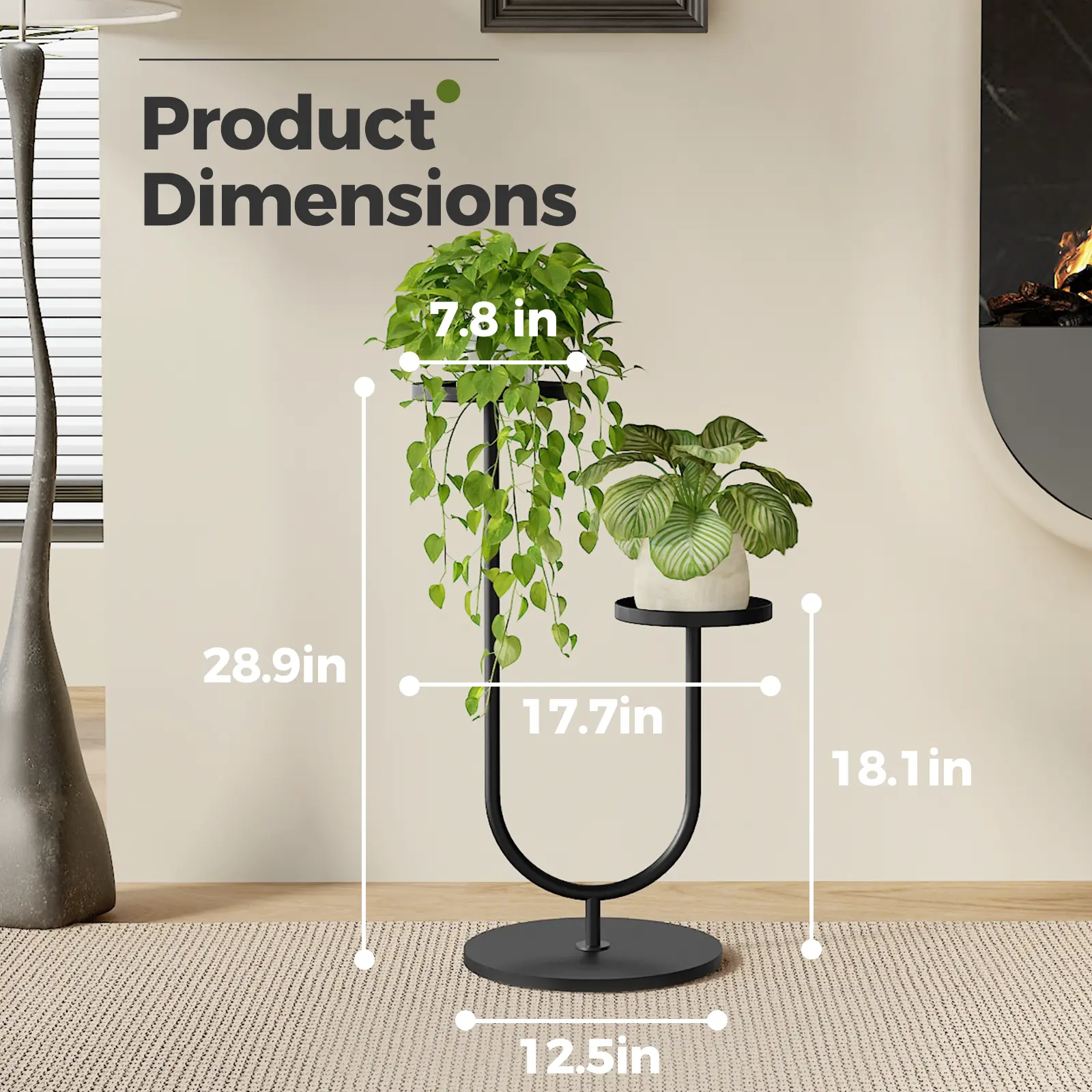 buy philodendron verrucosum Philodendron verrucosum 'Type' main image 1