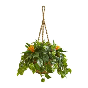 31in.  Bromeliad & Pothos Artificial Plant in Hanging Basket