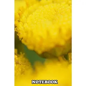 USED-Notebook: Bug On Matching Flowers , Journal for Writing, College Ruled Size 6 x 9, 110 Pages by MatchingCnY Notebook (Paperback)