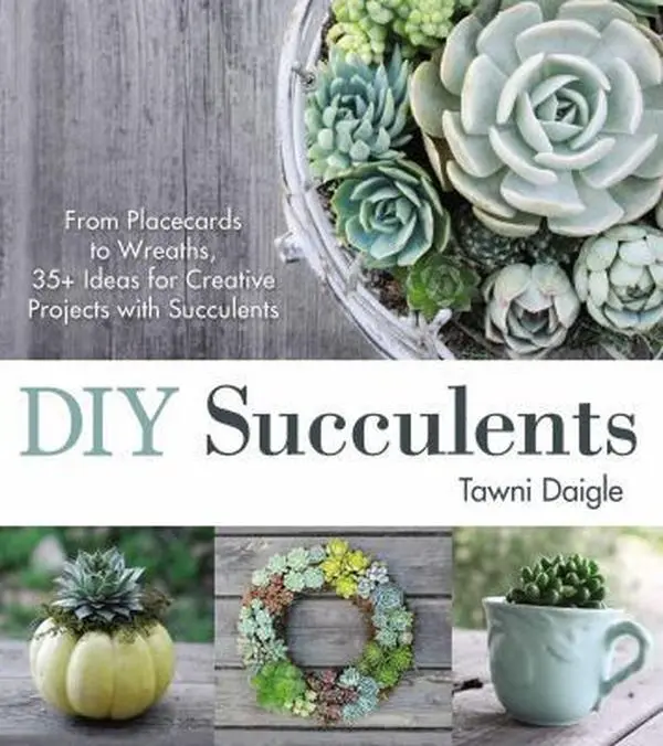 USED Book - DIY Succulents: From Placecards to Wreaths, 35+ Ideas for Creative Projects with Succulents by Daigle, Tawni (Paperback) - english