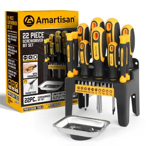 22-piece Screwdriver Set, Phillips and Flathead Screwdrivers, equipped with ten bits and a magnetic disk.