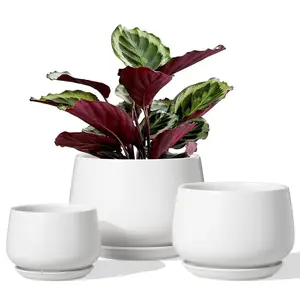 BEMAY 3-Pack Ceramic Plant Pots, 4.1+5.1+6.5 inch Indoor Planters with Drainage Hole & Saucer, White Round Flower Pots