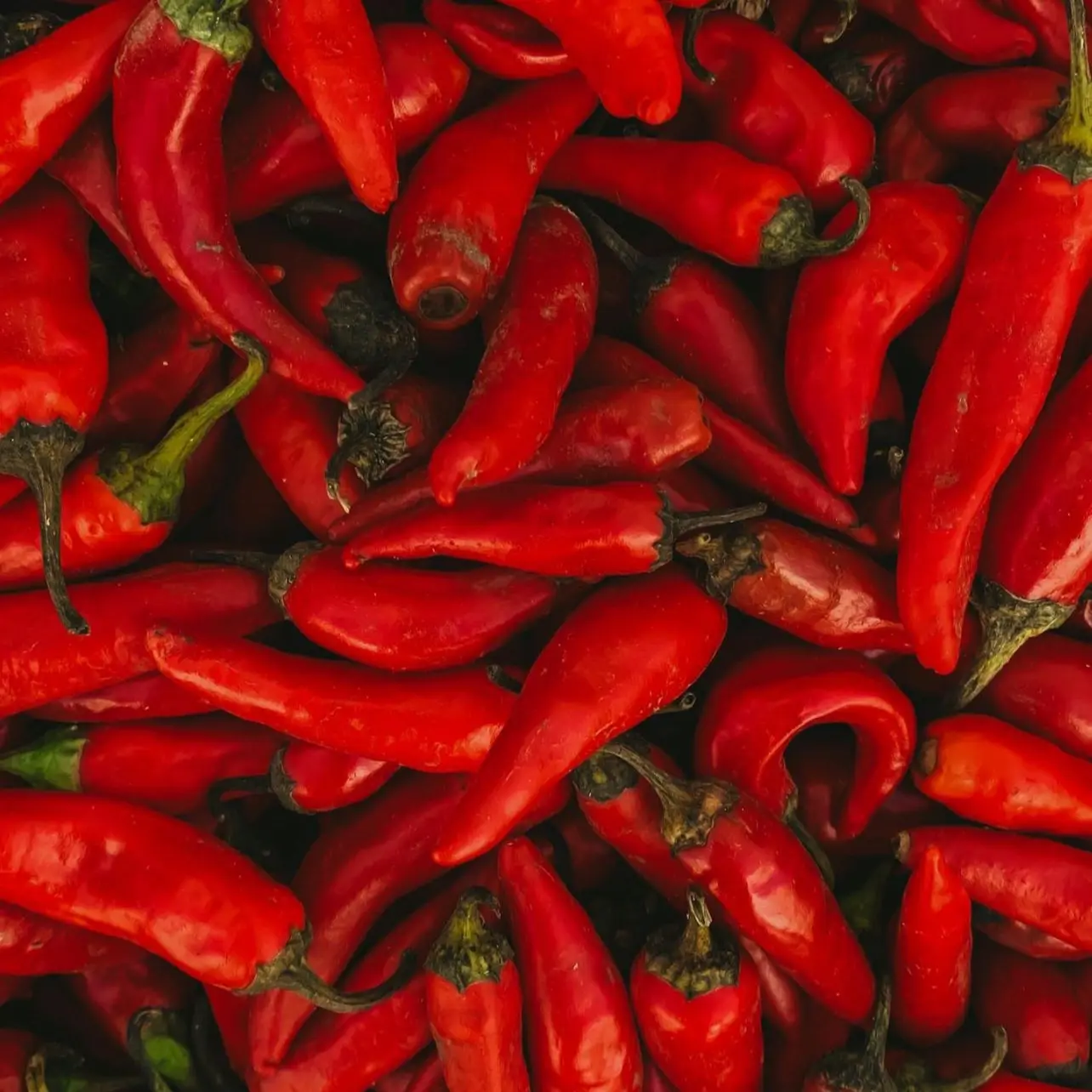 Cayenne Pepper Seeds
