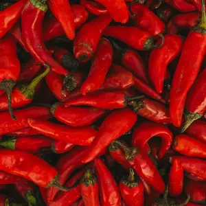 Cayenne Pepper Seeds