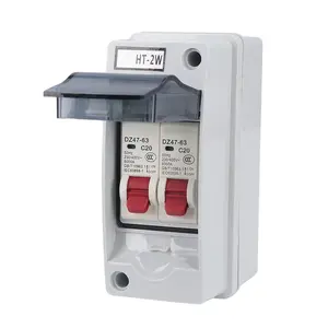 Distribution Box with Breaker Box, MCB C Type 2 Way AC 230V 400V IP65 Electrical Boxes (C20+C20)