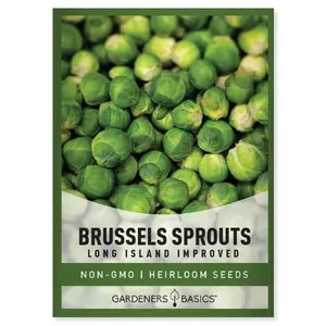 Long Island Improved Brussels Sprouts Seeds