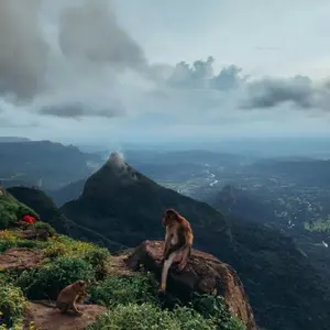 background preload poster image 