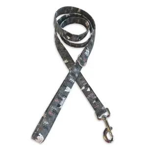 Mountain Hikes Leash