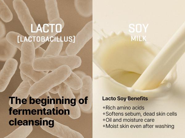 Lacto Soy Mild Peeling Bubble Cleanser 6.08oz, 180ml - Daily Vegan Blackhead Removing Korean Face Wash - Korean Skin Care