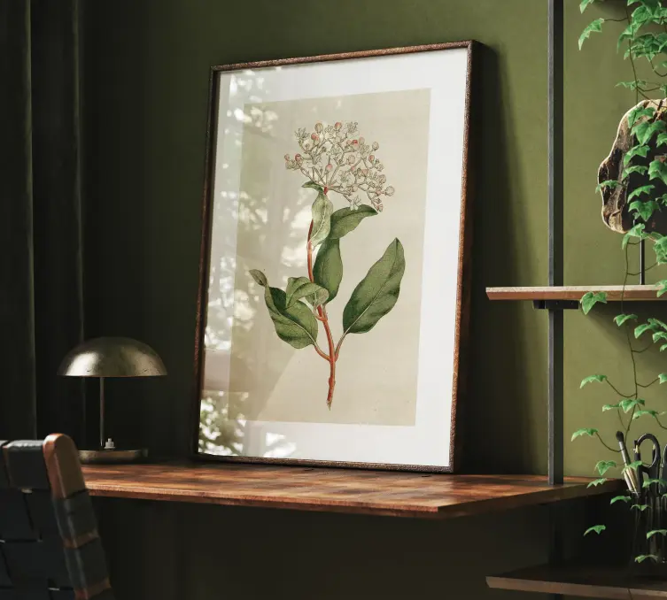 Laurustinus Botanical Print, Vintage Flower Wall Art