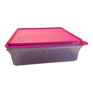 large Snack Storage Rectangle Container Pink Punch Seal Basic Box for Easy Storage and Organization Kitchen Snack Container