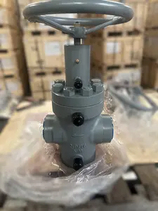 Gate Valve, Expanding Gate, 2-9/16" 5M  2-7/8" 8RD EUE, HW, DD, LU, PSL-2,