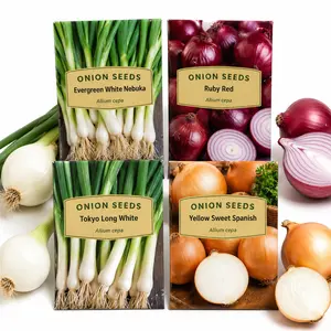 1000+ Onion Seeds for Planting, 4 Individual Packs, Evergreen White Nebuka, Ruby Red, Tokyo Long White & Yellow Sweet Spanish, Non-GMO Heirloom Vegetable Seeds