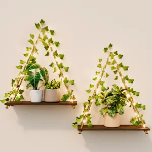 Bamworld 2pcs Hanging Plant Holder Plant Hanger Indoor Wall Plant Holder Plant Wall Shelf with Lights Hanging Planters for Indoor Plants in Living Room, Bedroom and Hallway, Set of 2(Batteries Not Included)