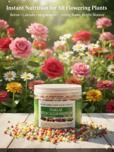 Granular boron calcium magnesium plant universal 200g slow-release trace element water-soluble fertilizer, suitable for flowers, vegetables and agriculture