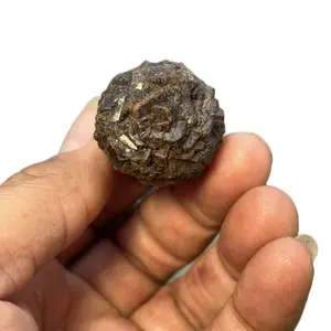 Moroocan Prophecy Stone Limonite Goethite