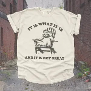 Vintage 90s Funny Racoon TShirt | Retro Oversized Y2K Humor Meme Shirt, Trendy Cute Boho Trashcore Tee, Raccoon Gifts, Trashy T-Shirt Womens