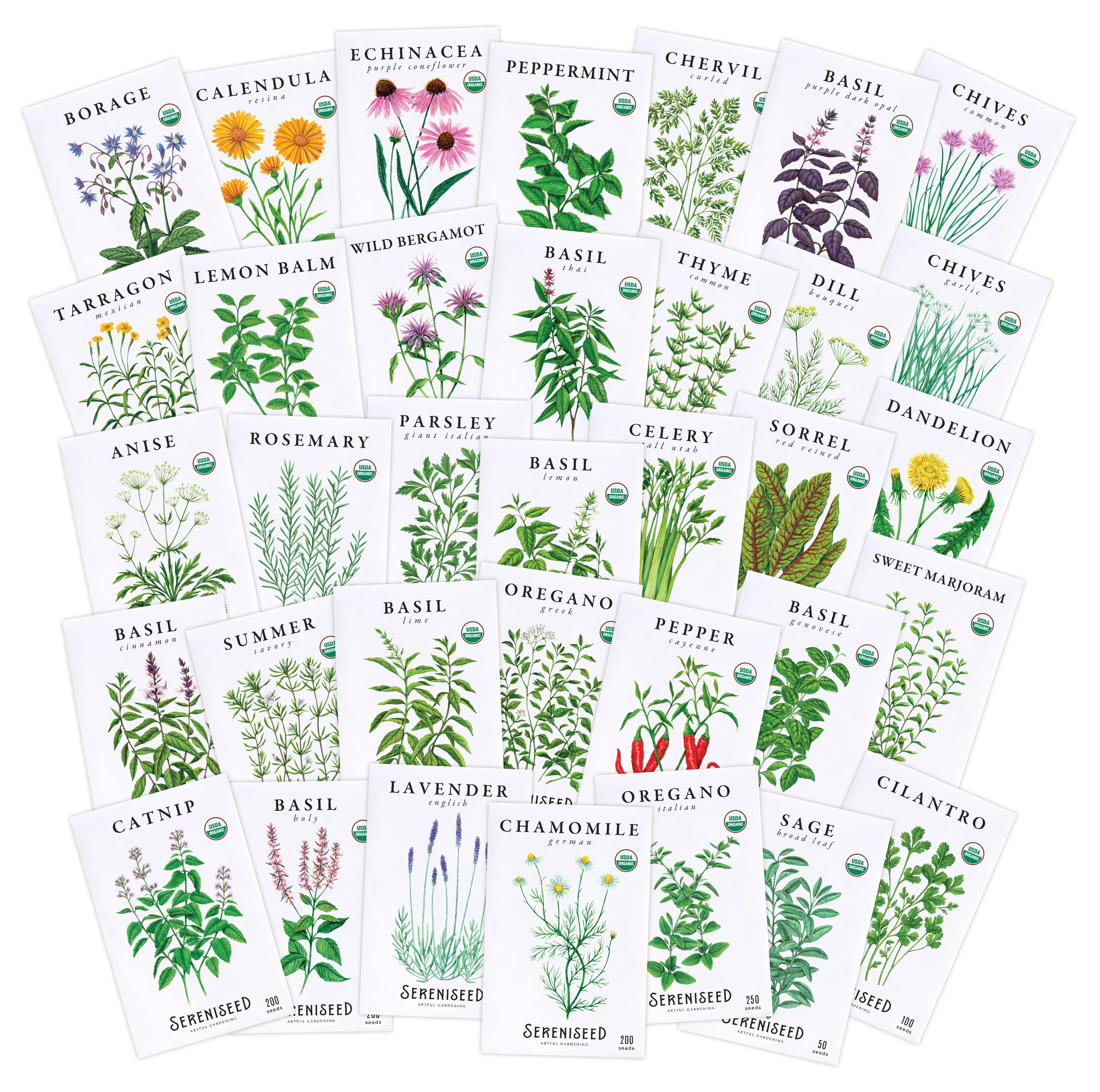 Organic Herb Seeds (35-Pack) | USDA Organic, Non-GMO Heirloom Garden Seeds