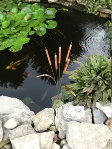 Copper Cattail Wind Chimes 36inchs Tall with 5 Cat Tails 2 Leaves Sound Adjuster & Custom Spike Engraving up to 35 Characters Decor - Bronze