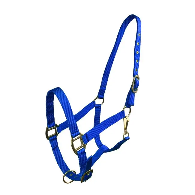 Horse Size Triple Ply Nylon Halter with Brass Hardware