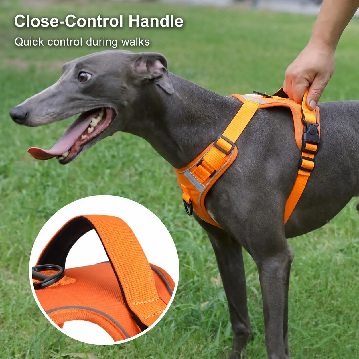 Reflective Dog Harness with Control Handle, Adjustable Breathable Padded Vest for Greyhound, Whippet and Small to Large Dogs