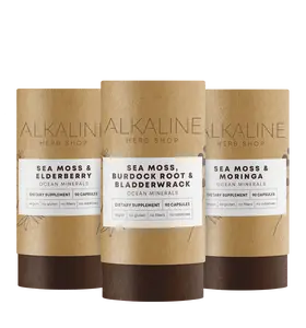 Sea Moss Best Sellers Bundle -  Sea Moss, Burdock Root & Bladderwrack Supplement, Sea Moss & Elderberry Supplement, and Sea Moss & Moringa Supplement