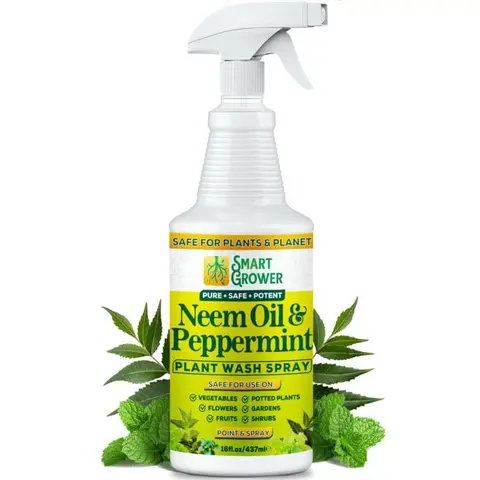 Neem Oil Spray for Plants with Peppermint Oil Natural Plant Wash Made for Indoor and Outdoor Plants Smart Grower 16oz Easy Ready to Use Spray Flowers Environment Gardens Essential Vegetables