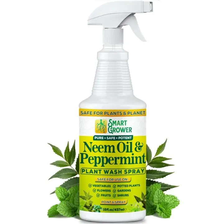 Neem Oil Spray for Plants with Peppermint Oil Natural Plant Wash Made for Indoor...