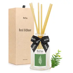 Best Reed Diffuser Set 100 ML Aromatherapy Diffuser with Sticks - Refreshing Home Fragrance Air Diffuser for Bathroom, Living Room & Office - Gift Scented Oil