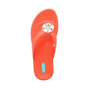 Oka-B Sand Dollar Embellished Thong Sandals - Sandy