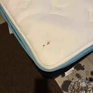 VIZIM Hybrid Mattresses in a Box, 10 & 12 Inch Twin Full Queen Size Mattress with Memory Foam & Pocket Springs, Medium Firm Bed for Pressure Relief & Motion Isolation, CertiPUR-US Certified