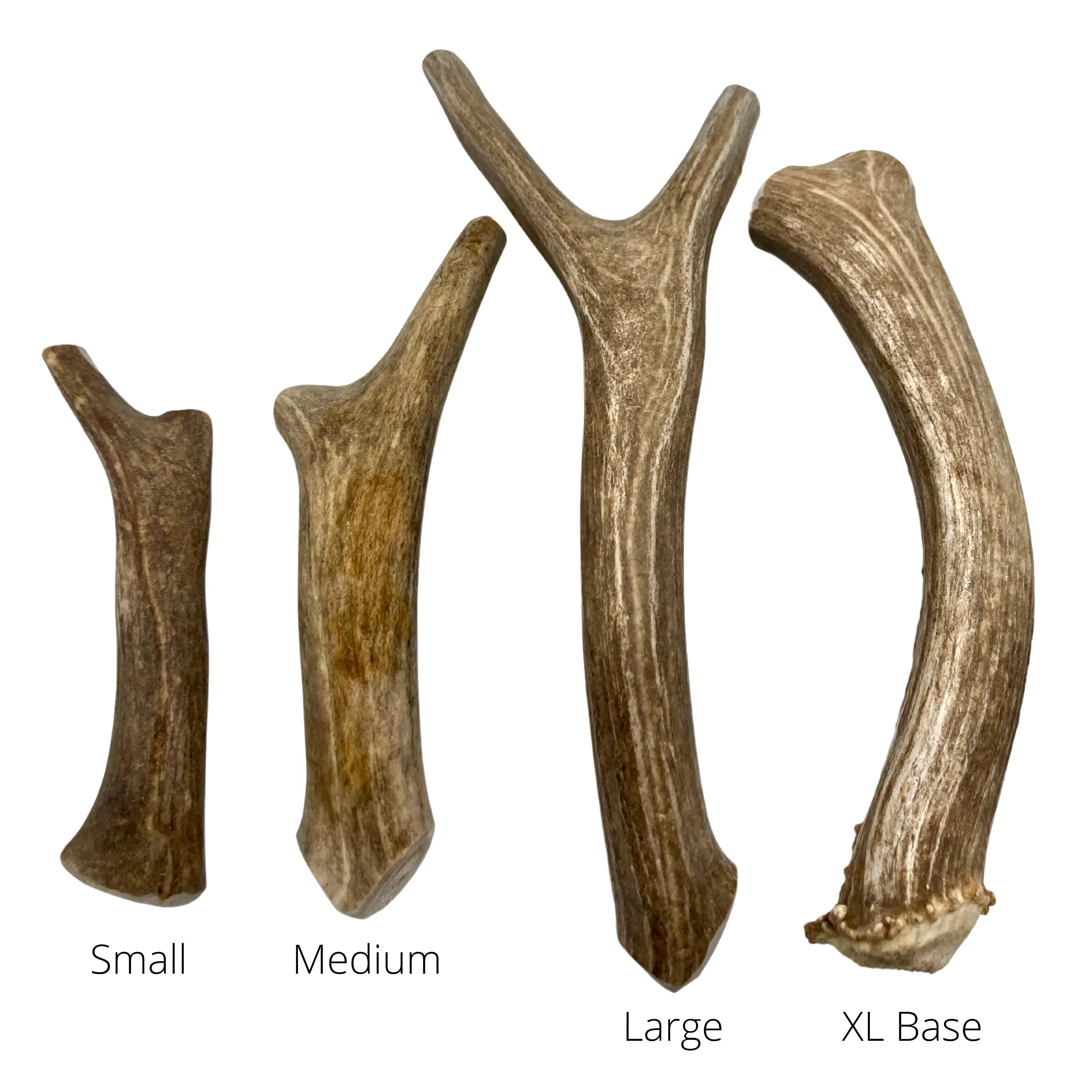 Deer Antler