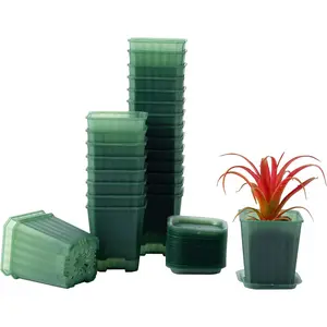 3 Inch Transparent Green  Pots, 30 count Thick Plastic  Pot, Square Flower Planting Pots Variety Pack, Seedling Planter Starter Pots with Saucers for Garden