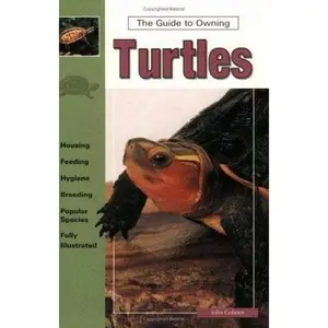 USED-Guide to Owning Turtles by John Coborn (Paperback)