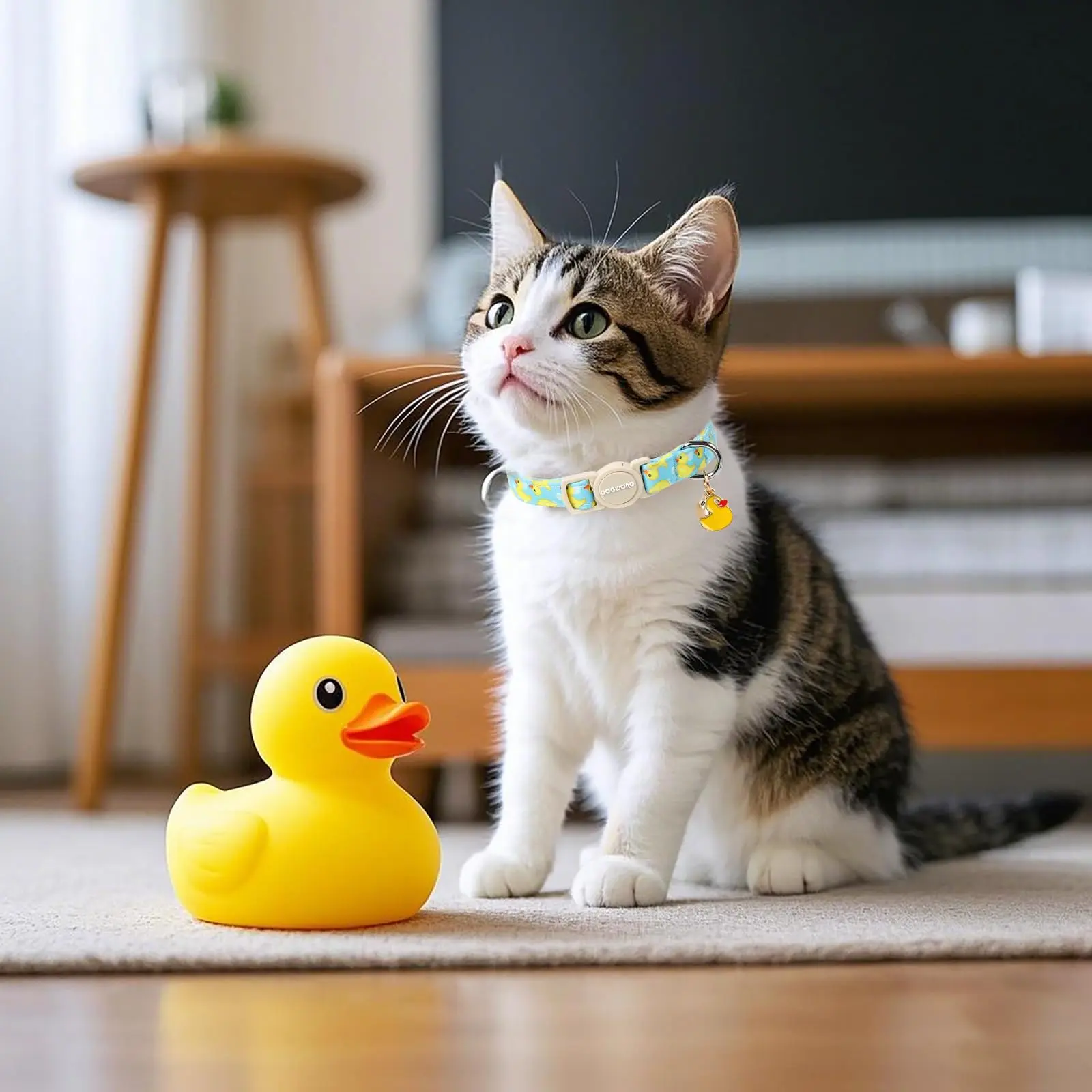 DOGWONG 2 Pack Summer Breakaway Cat Collars with Bell, Adjustable Duck & Dinosaur Print Accessory - Safety Soft Pet Collar for Girl Boy Cats DOGWONG 2 Pack Summer Breakaway Cat Collars with Bell, Adjustable Duck & Dinosaur Print Accessory - Safety Soft Pet Collar for Girl Boy Cats