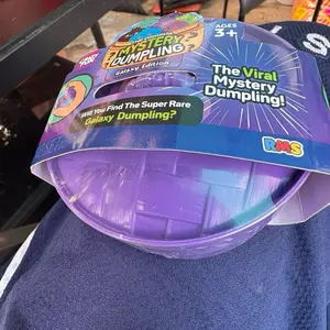 The Mystery Squishy Dumpling