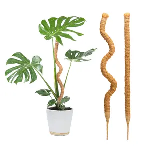 2 Pack 28'' Bendable Moss Pole Monstera Plant Support for Climbing Indoor Plants - Stakes for Potted Climbers - Tall Sticks Indoor Trellis for Houseplants - Accessories for Monstera Pot