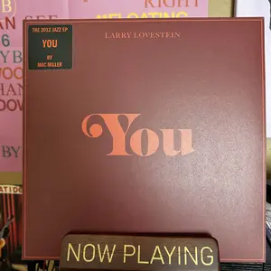 Larry Lovestein & The Velvet Revival - You | Vinyl Record