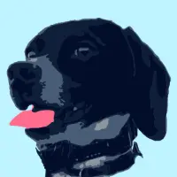 Dogz And Pupz