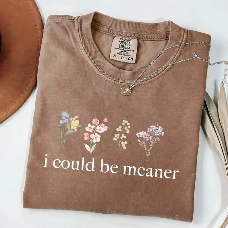 Comfort Colors I Could Be Meaner T-Shirt, funny sarcastic tee for moms and friends, cute humor shirt or cozy sweatshirt idea, perfect playful gift for anyone with sass. - All In Print