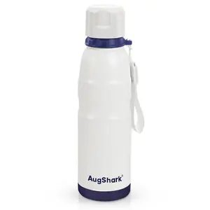 AugShark 20oz Insulated Water Bottle with Straw Leak-Proof Double Wall Vacuum Tumbler Stainless Steel Metal Flask for Travel Outdoor Sports Gym Work Portable Drinkware Bottled - Mug Summer Cup water bottle gift